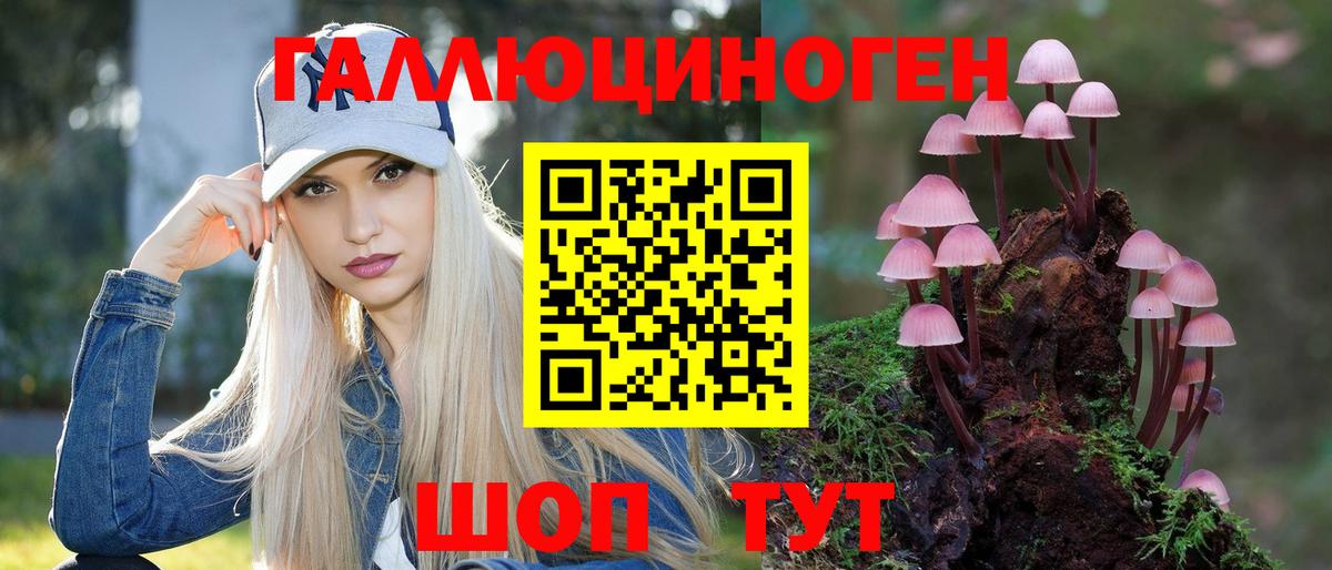 Знаменск  Галлюциногенные грибы MAGIC MUSHROOMS  Вход с VPN 