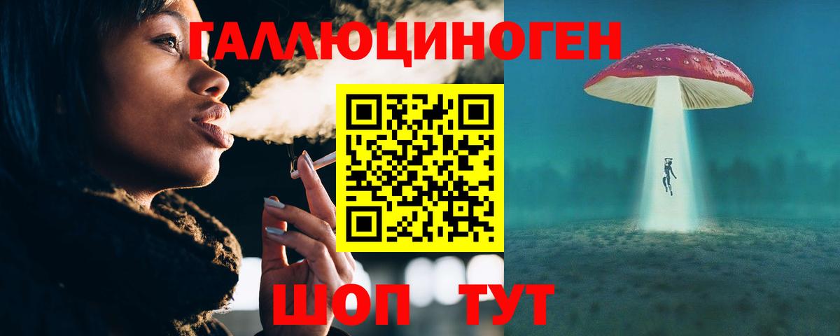 Галлюциногенные грибы Psilocybe Знаменск